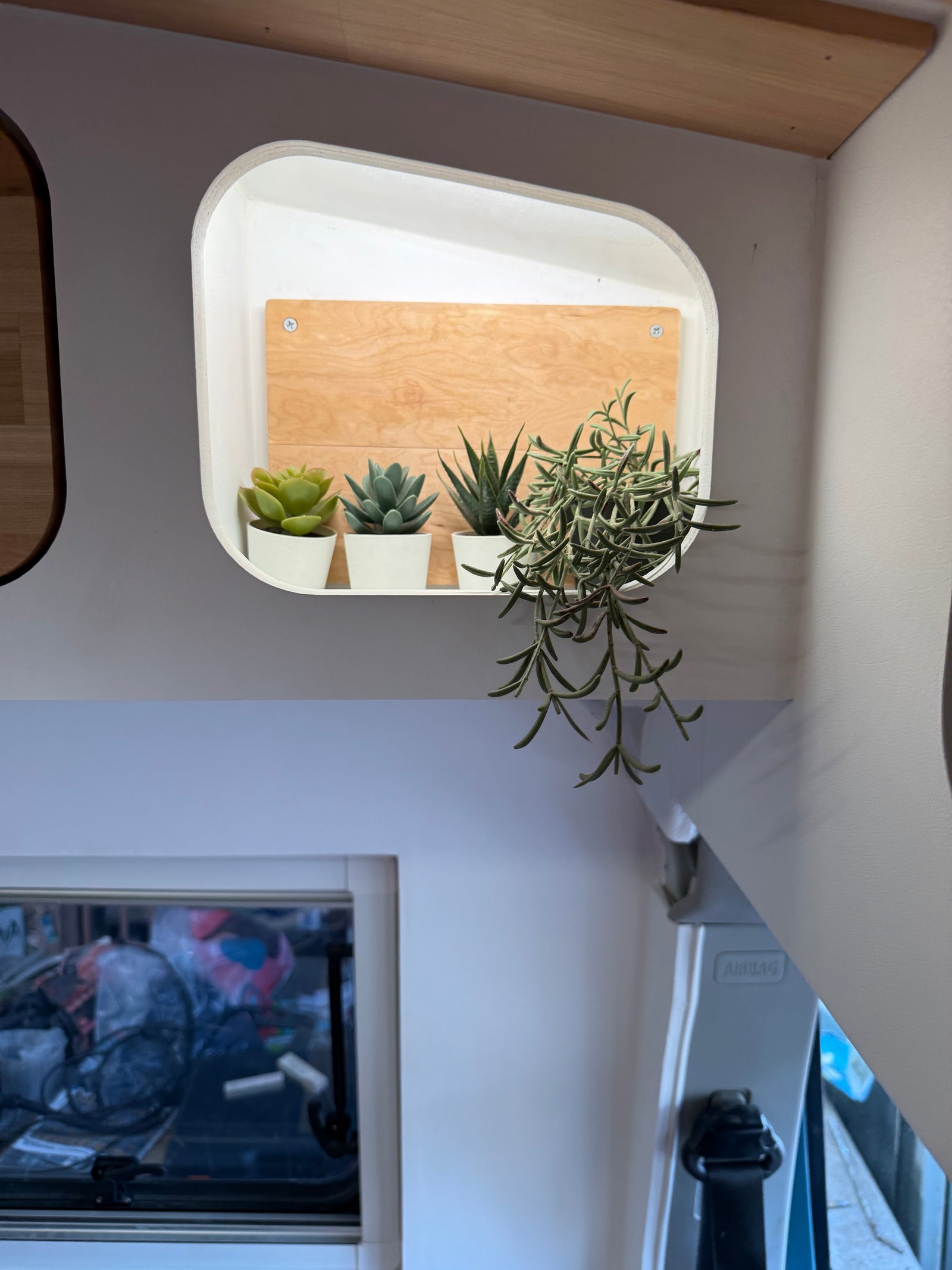 Galería del proyecto