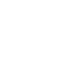 Tiny Van